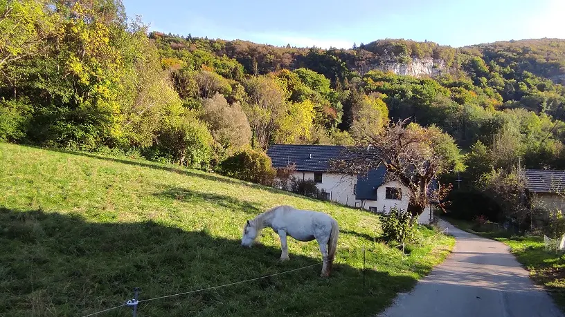 Gite face montagne