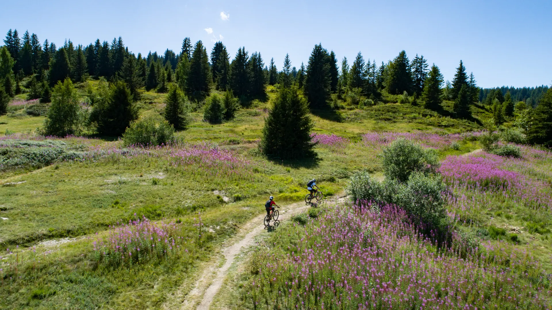 Domaine VTT Cristal Vert Crest-Voland Les Saisies