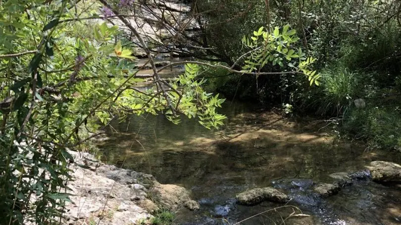 DECOUVERTE DE LA RIVIERE LA VEDE PAR LE CHEMIN DE RANDONNEE A PARTIR DU GRAND TILLEUL