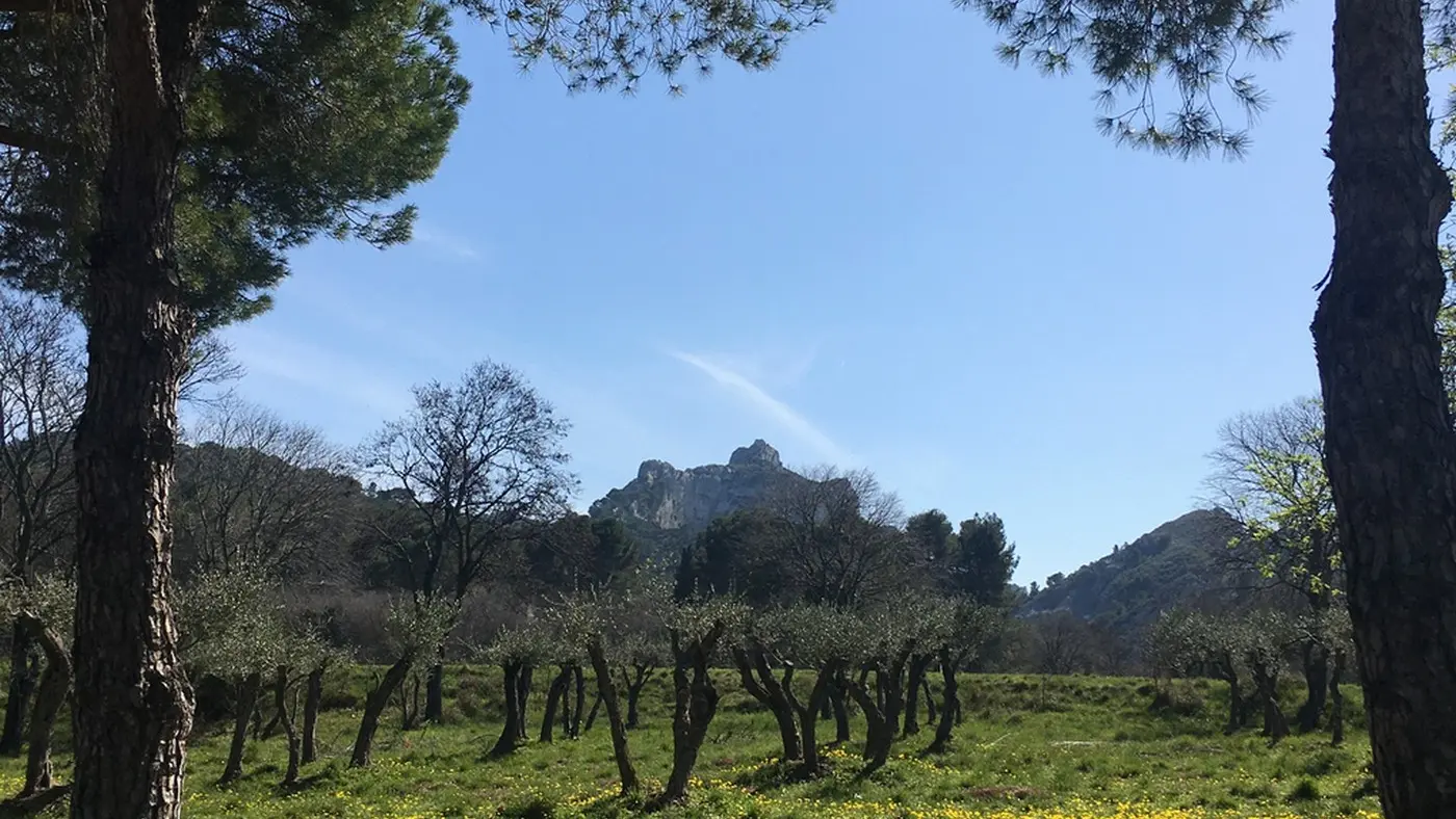 Mont Gaussier_Saint-Rémy-de-Provence