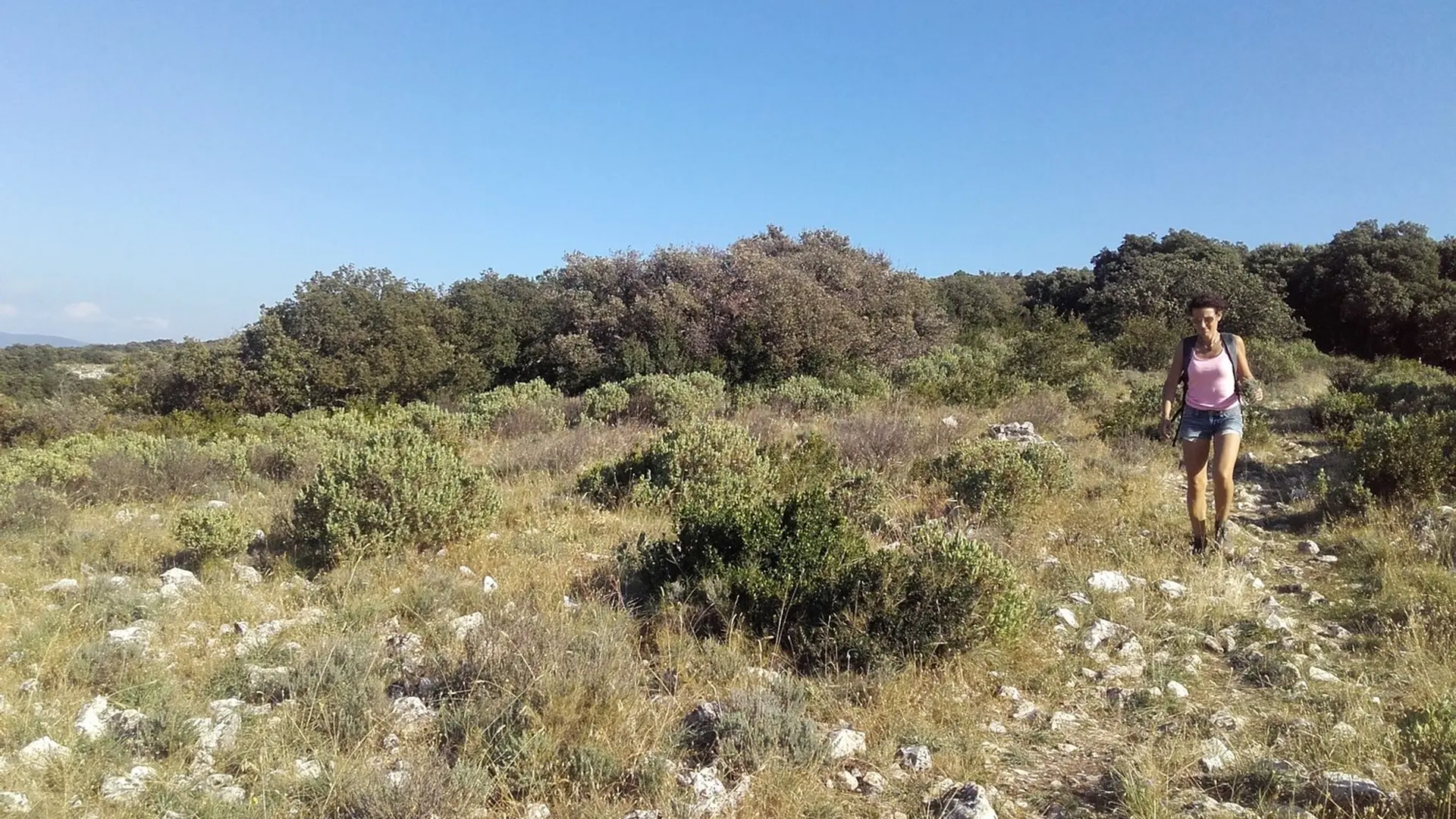 Sur les crêtes du Quillot