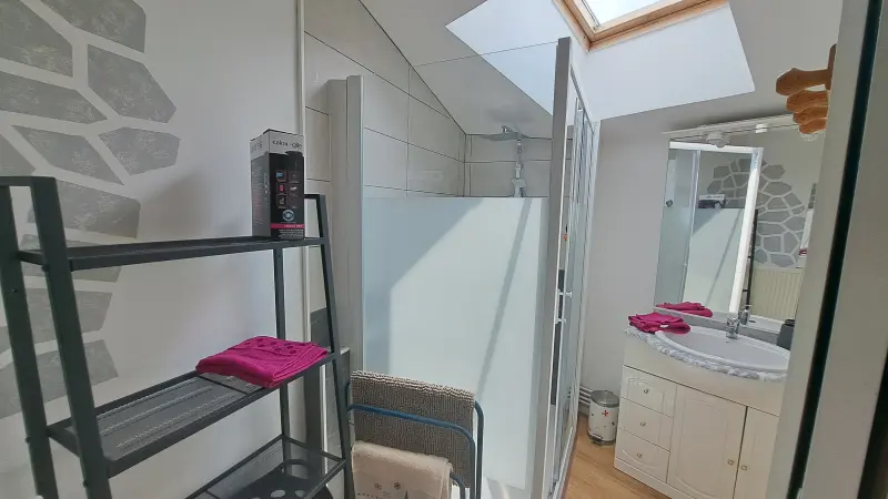 Salle d'eau avec douche