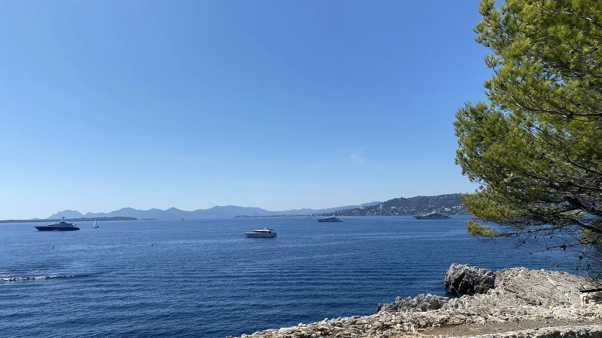Posidonia - Vue Mer