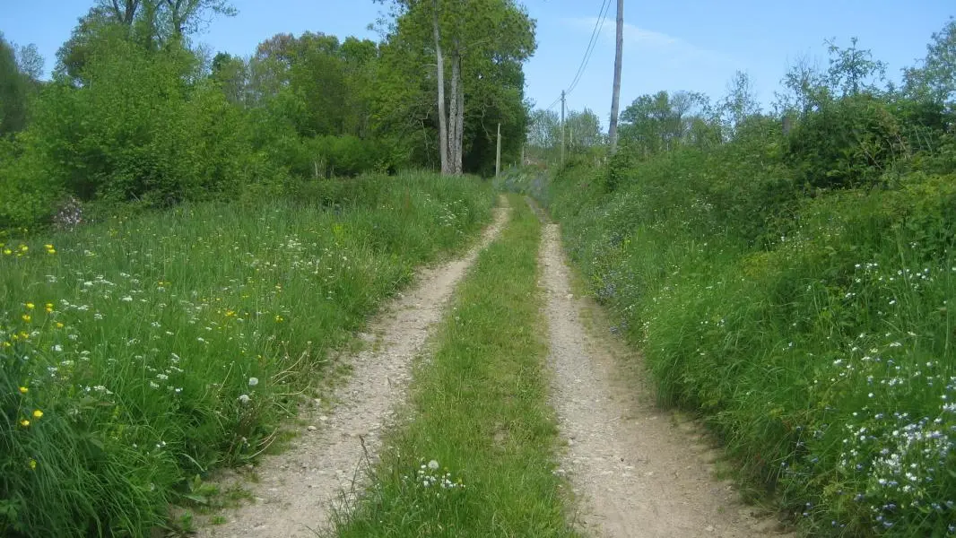 Le petit chemin des croissants !!!