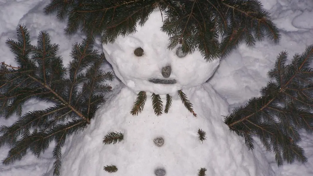 les enfants sont passés par la