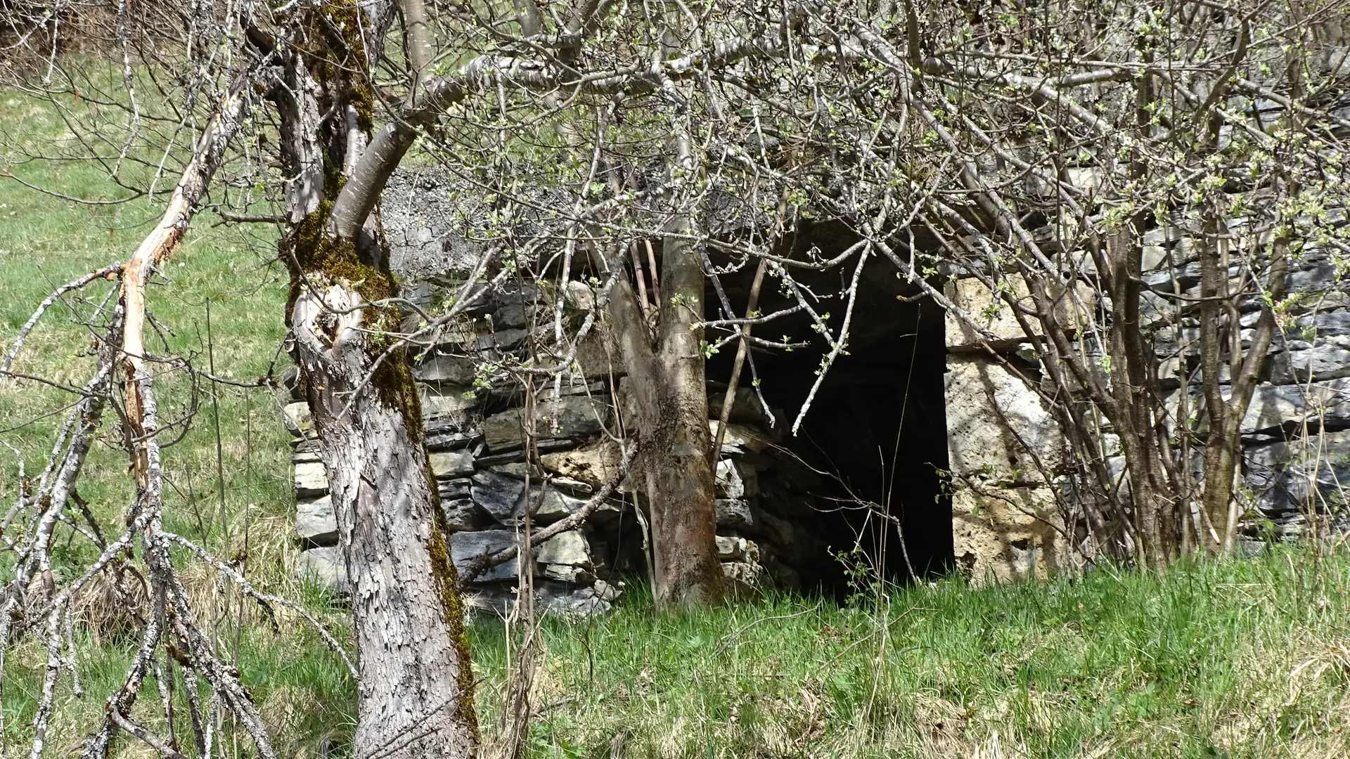 Cave