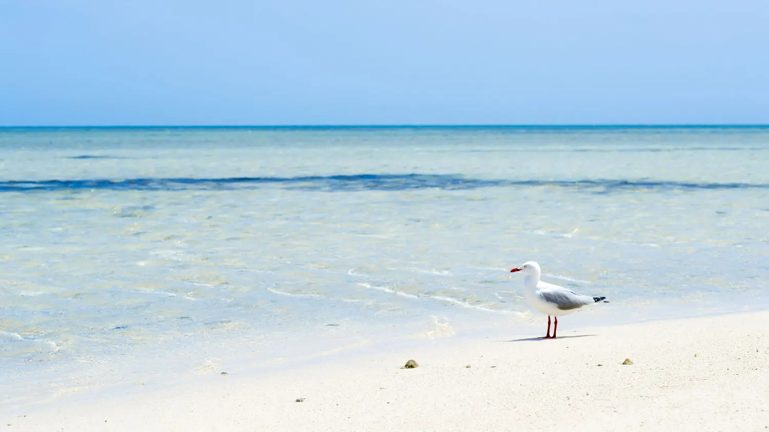 Îlot Maître beach - Noumea