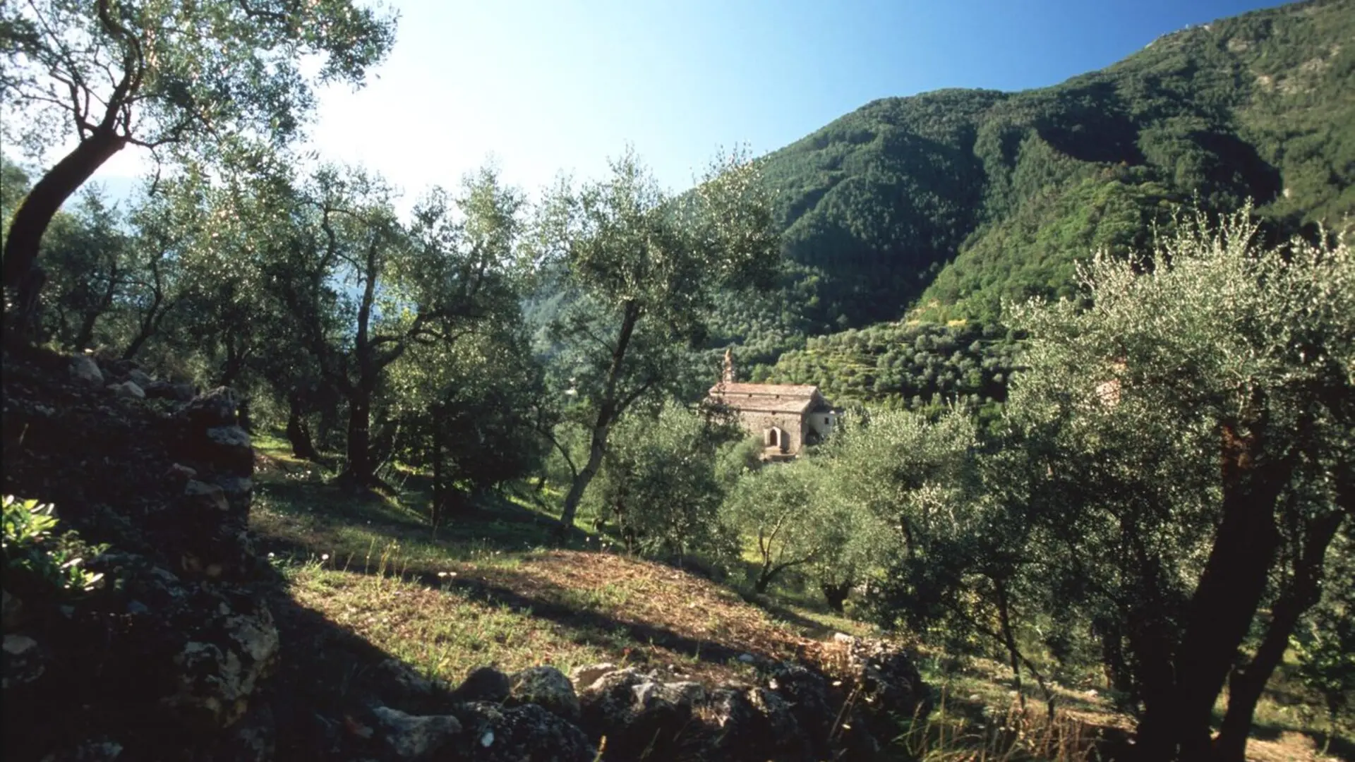 Chapelle Notre Dame du Mont des Oliviers