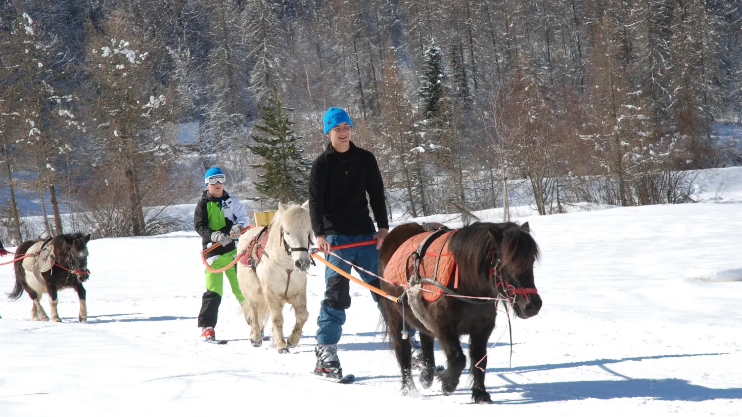 Poney-luge avec Les Ecuries des Ecrins, St Léger-les-Mélèzes