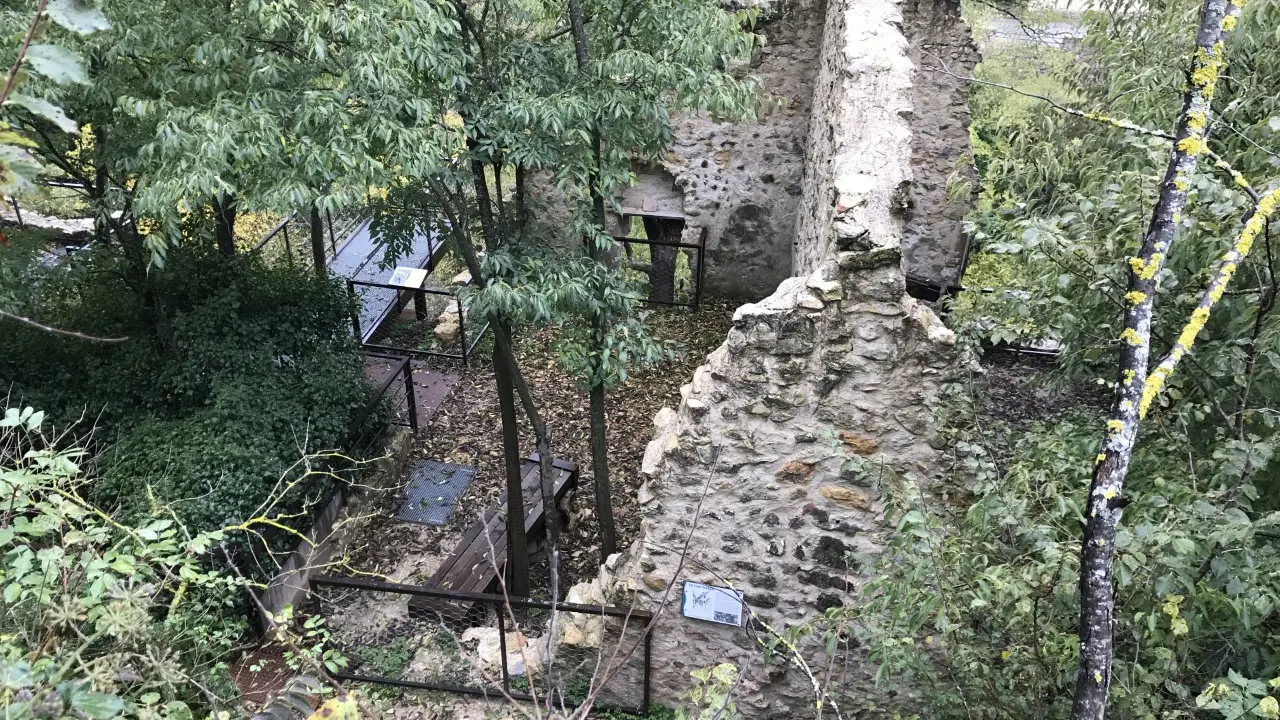 Ruine de la Vière