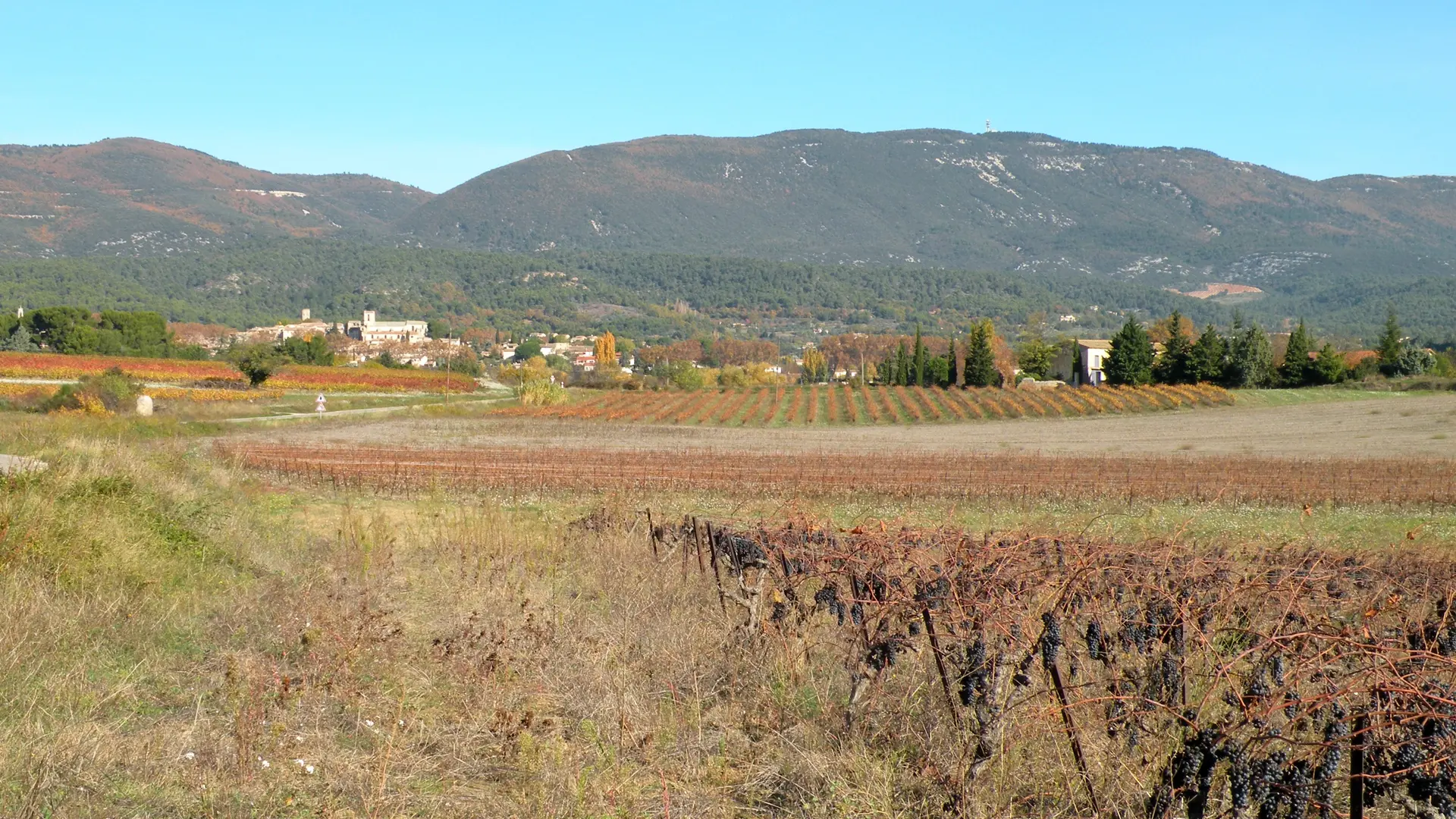 Parcours VTT Cucuron