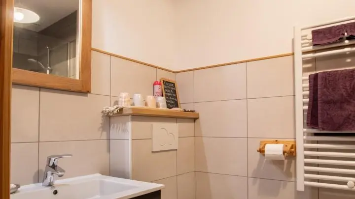 Salle d'eau avec douche et WC