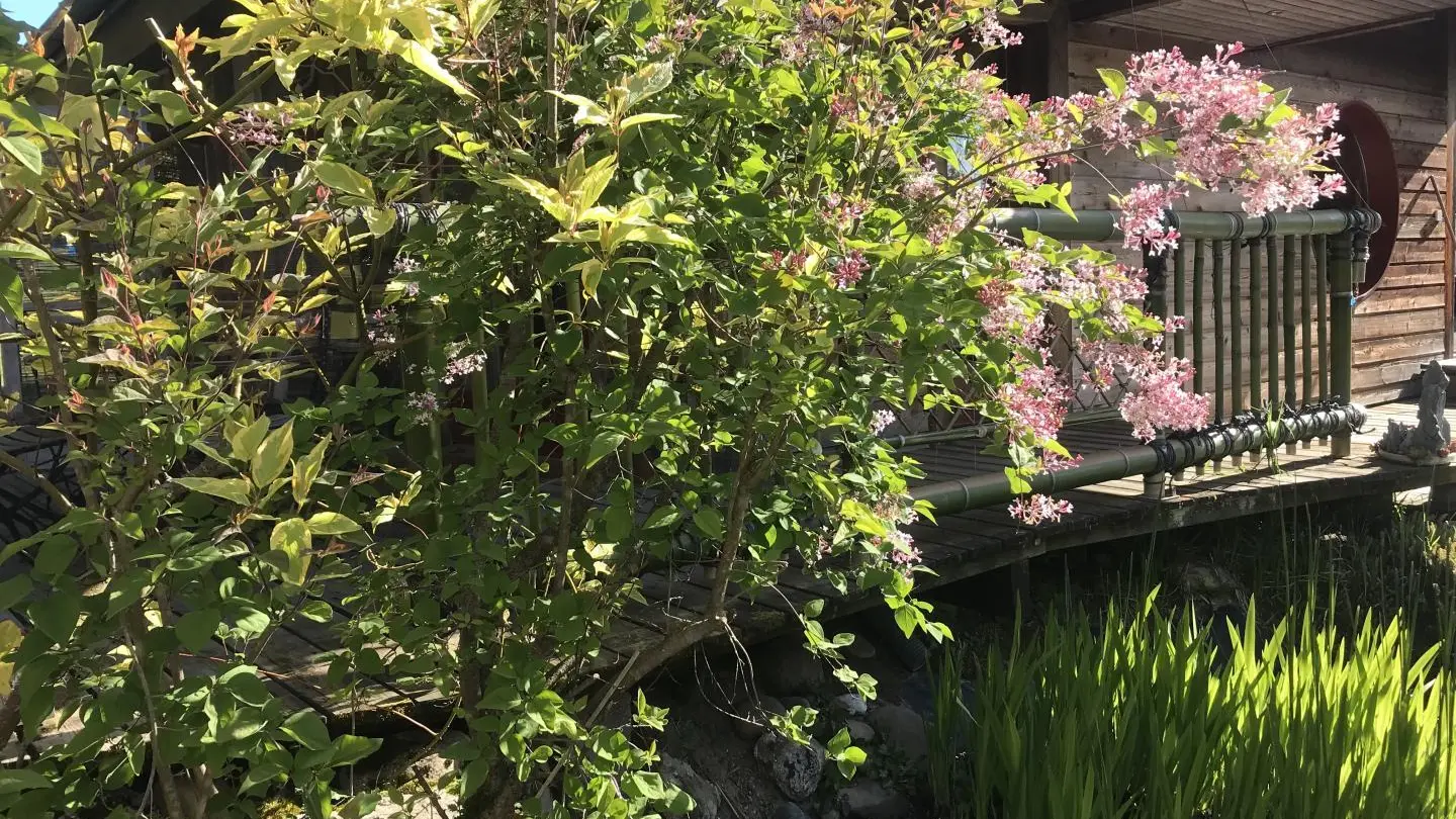 Terrasse côté bassin