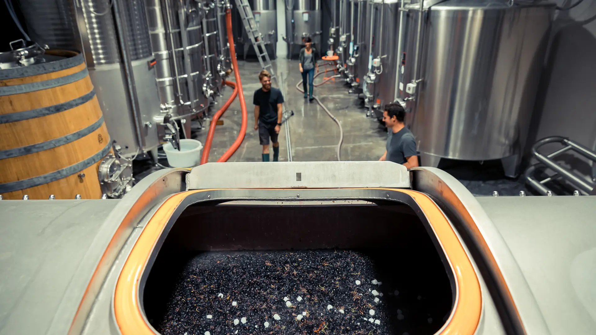 Les vignobles Gueissard