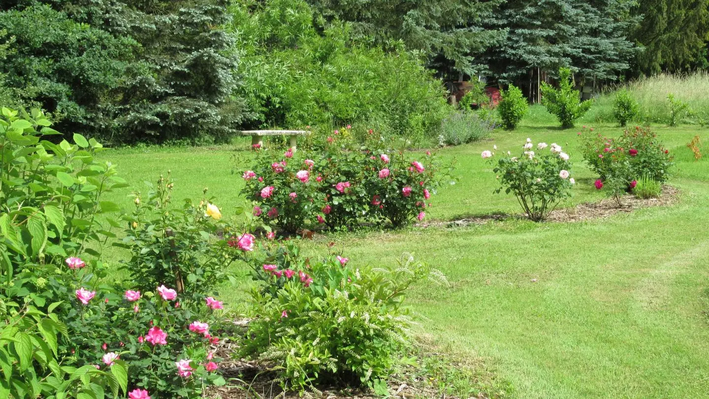 Le jardin, un coin de verdure