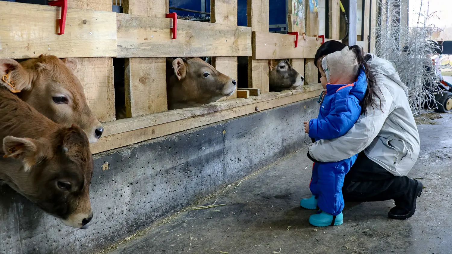 Ferme de l'Adroit_Val-d'Isère