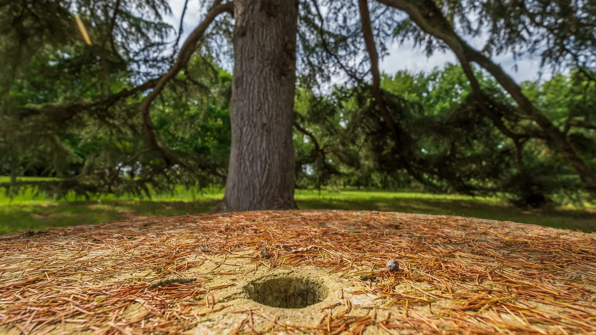Une ombre bienvenue pendant les heures chaudes !