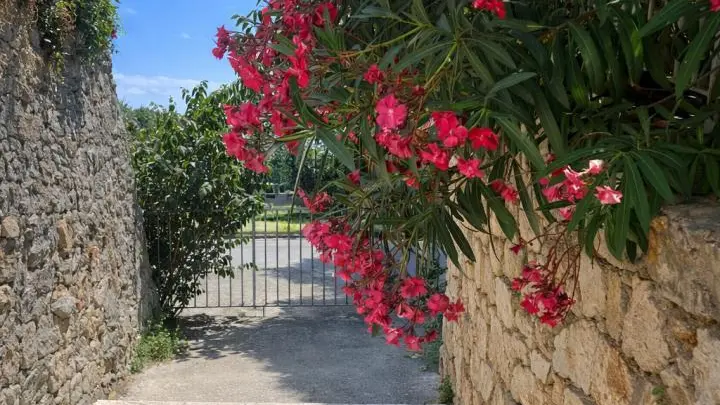 Gîte le Figuier de St Cé- Environnement -Gîtes de France Alpes-Maritimes