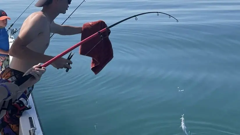 Camargu'evasion Pêche Côtière