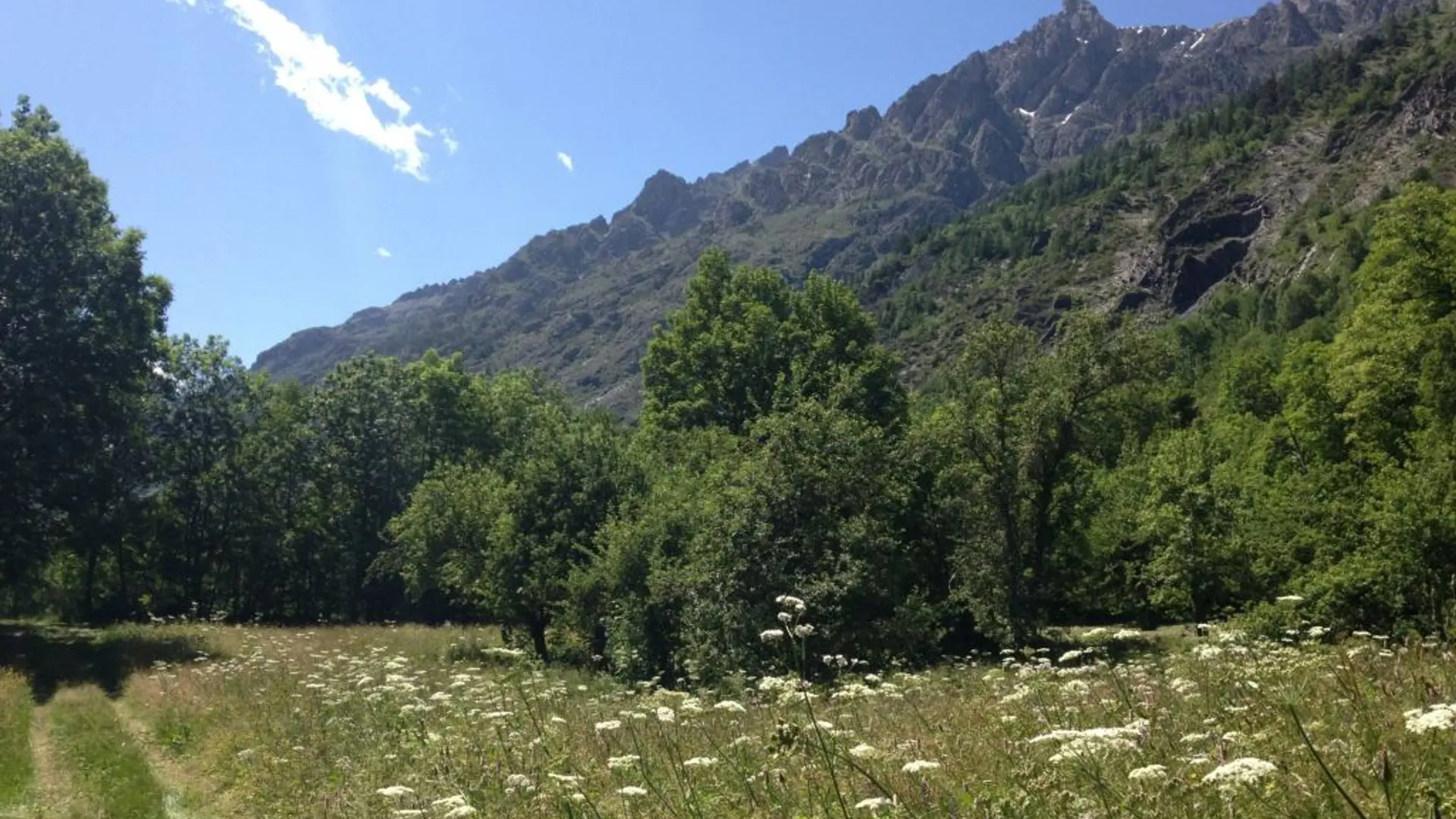 Chemin au bord de l'Onde