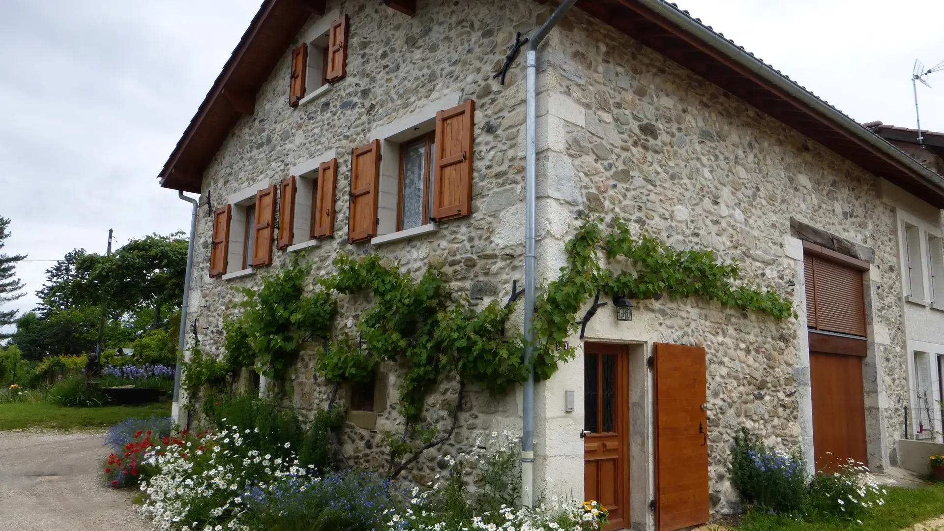 Gîte de l'étang dauphin