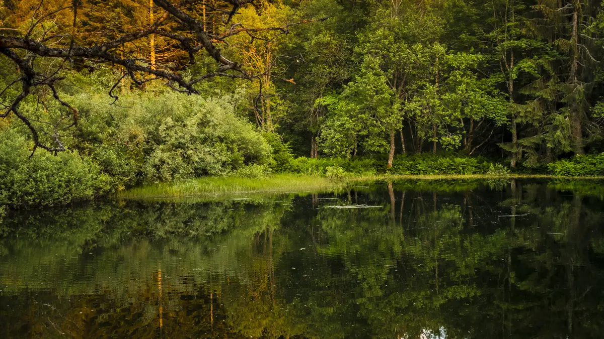 Réserve Naturelle du Luitel