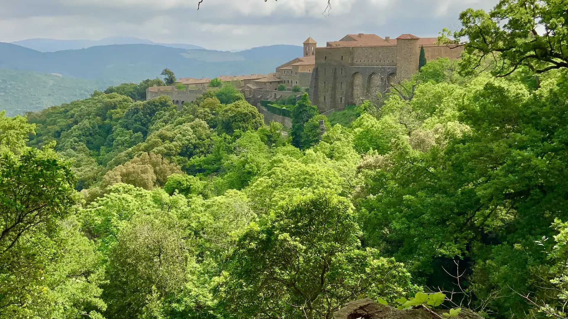 Parenthèse forestière en Méditerranée Porte des Maures