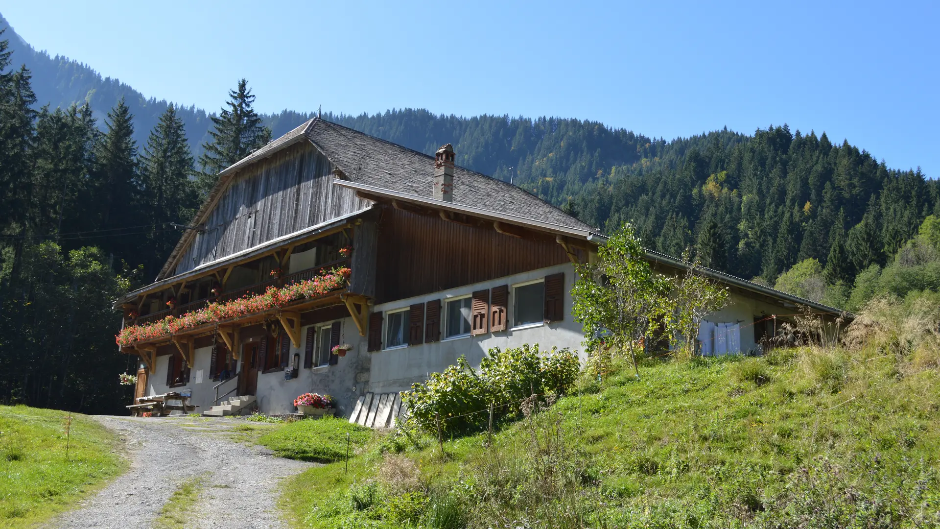 Ferme