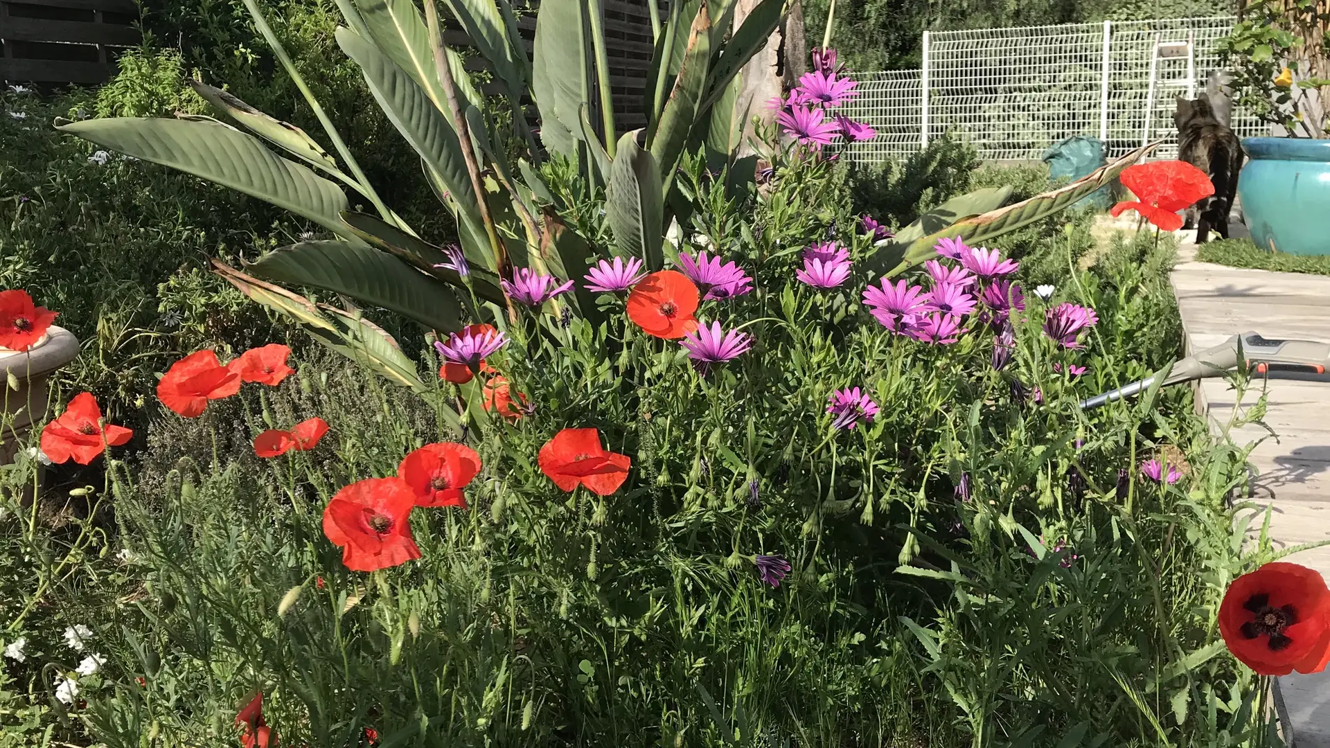 Le Jardin Chambre d'hôtes La Passiflore