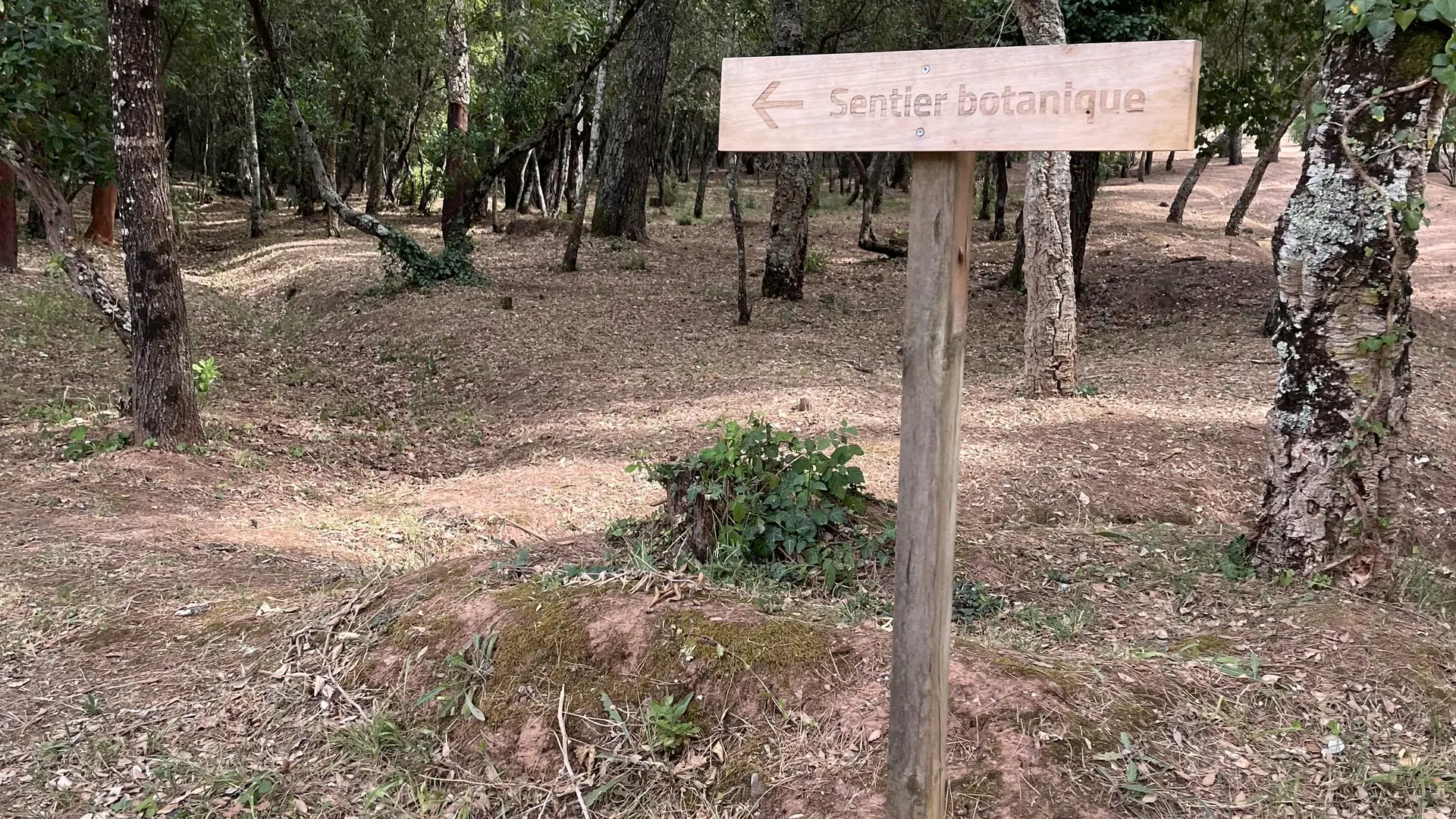Sentier botanique de l'arboretum de Pierrefeu du Var
