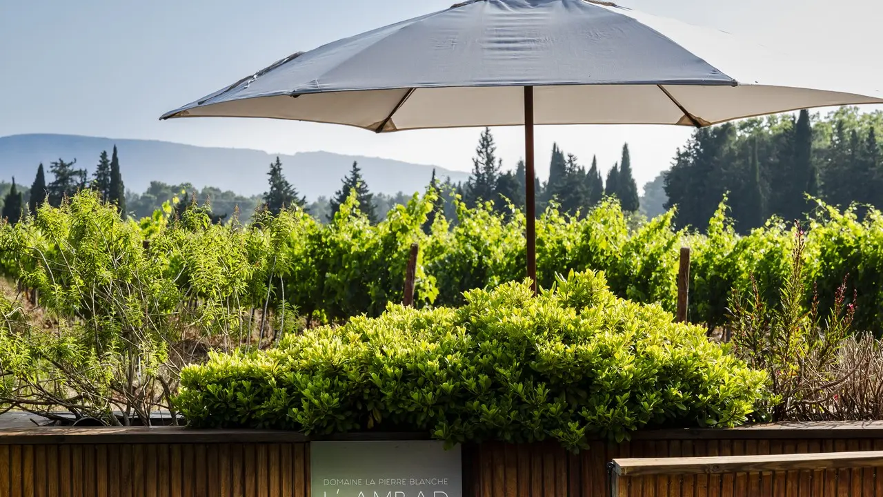 Domaine La Pierre Blanche - L'Ambar Sunset Lounge_Eygalières_entrée