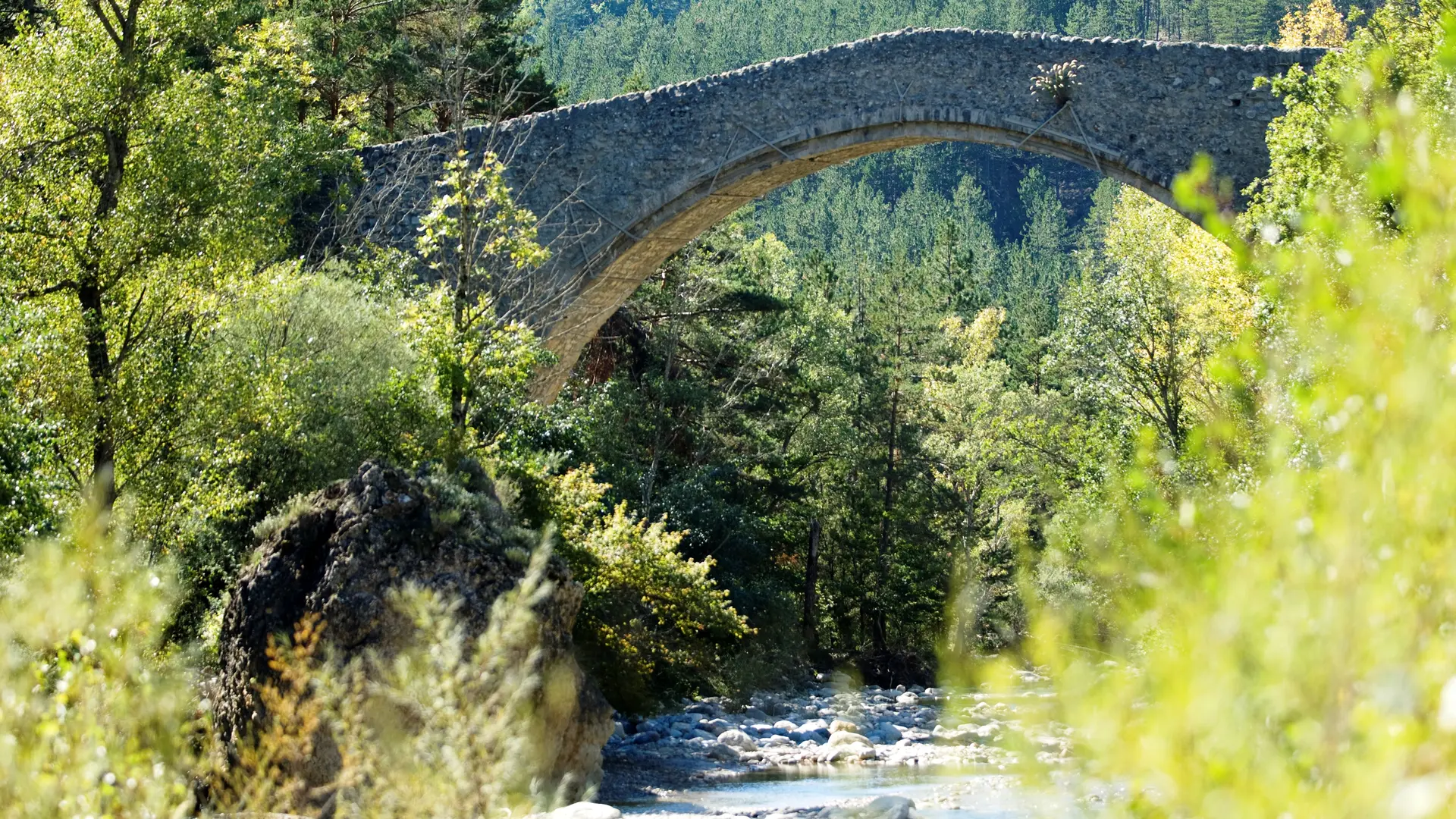 Pont de la Reine Jeanne