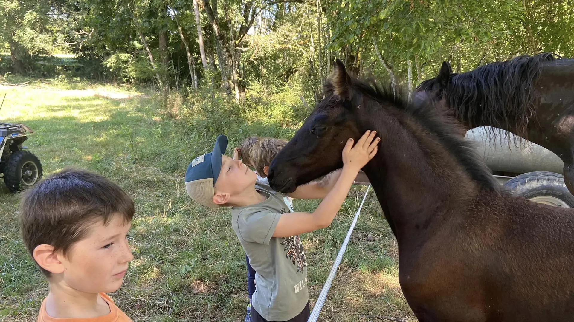 Stages vacances de Pâques - centre équestre Terre et Ciel