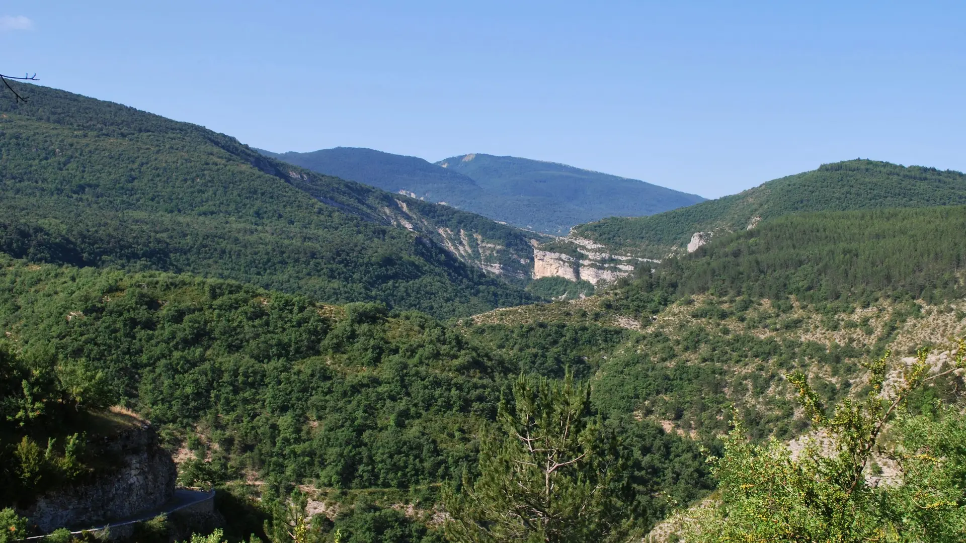 Au coeur de la forêt domaniale de la Méouge