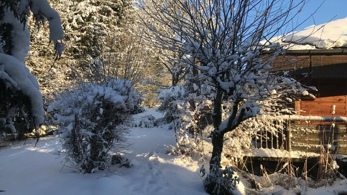 Vue de l'angle du gîte Côté bassin