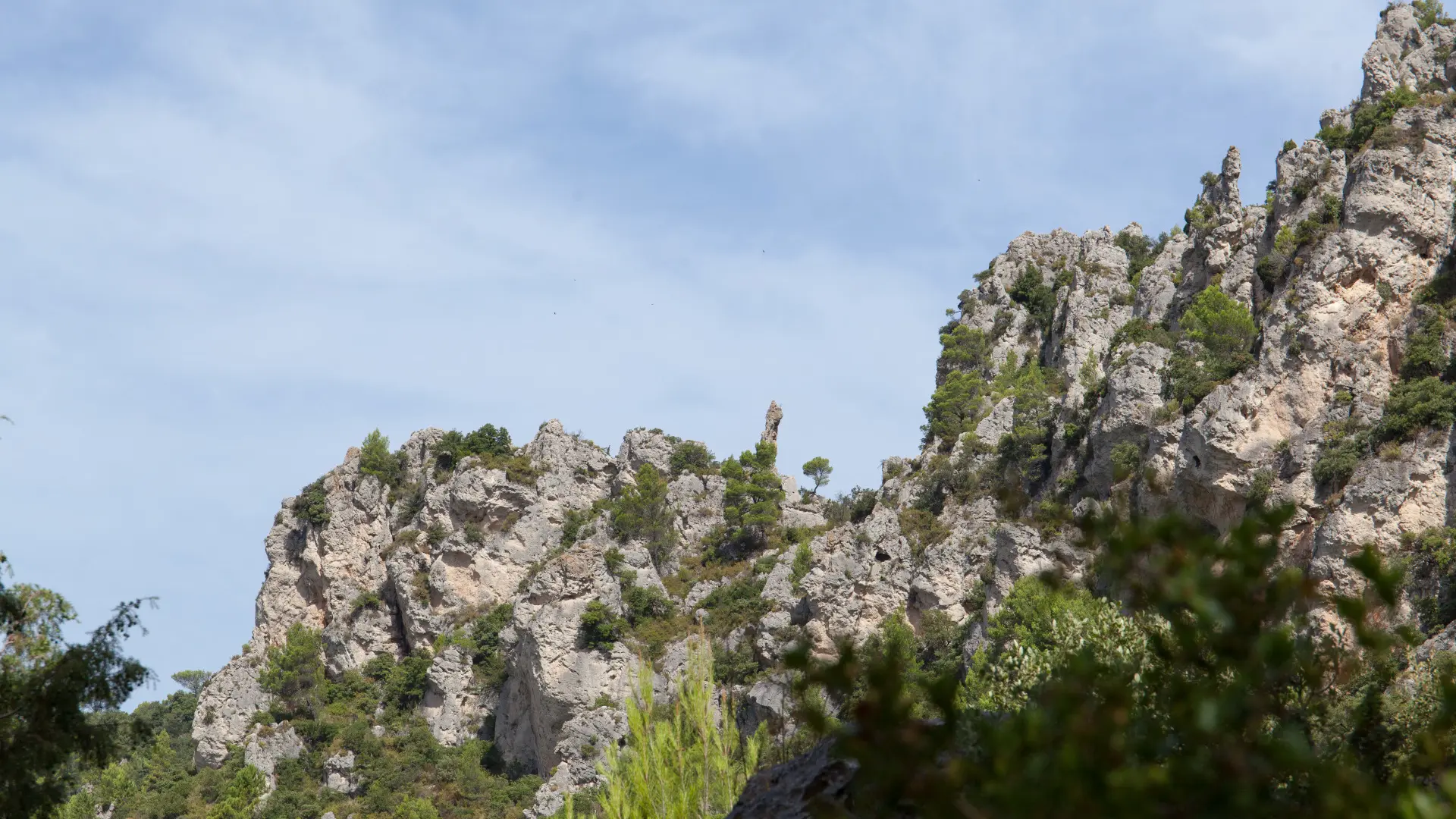 Montagne de la Loube - La Roquebruss