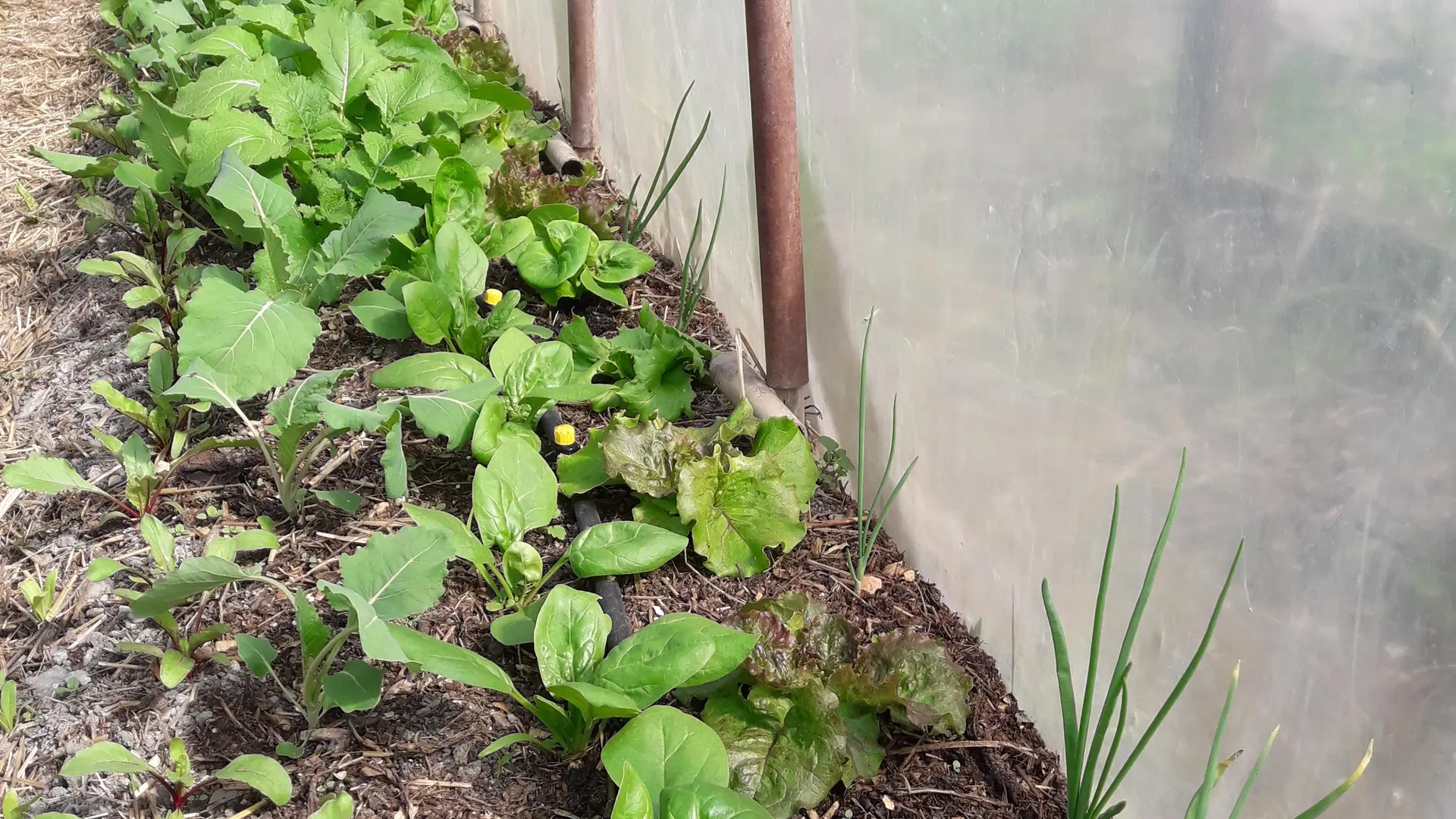 Gîte d'étape de Méolans