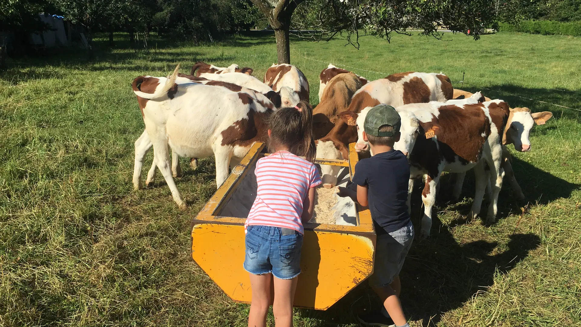 Les enfants à la ferme