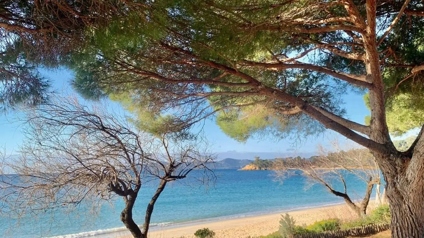 La plage de Cavalière