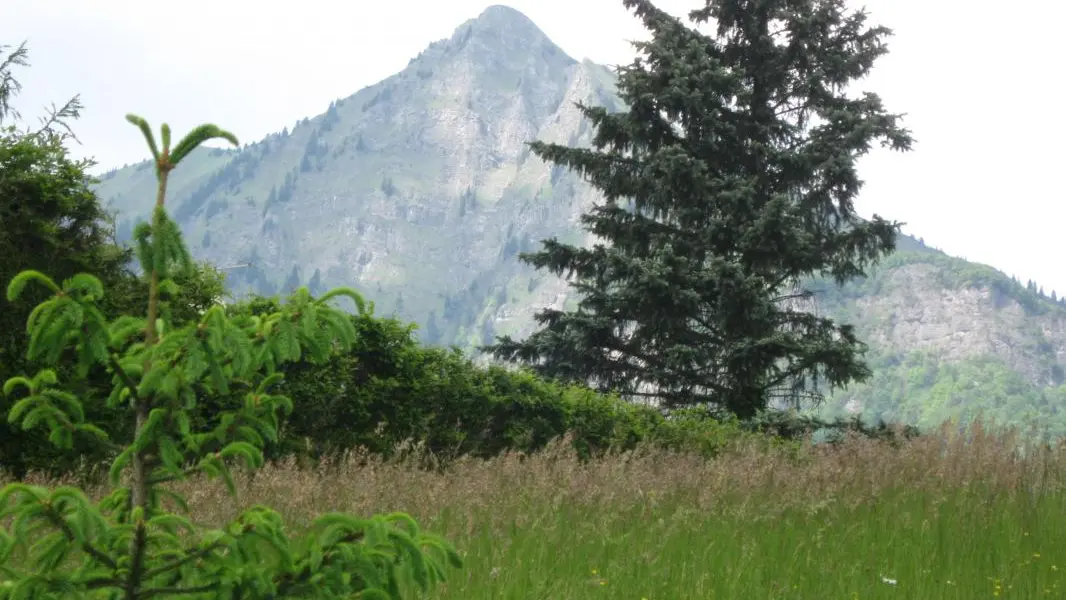 La vue sur le Pic du Marcelly depuis notre chalet