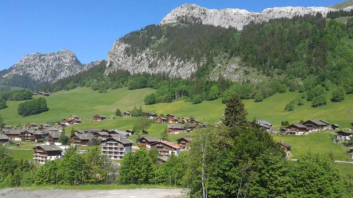 Vue extérieure été /Outside summer view - Le Ray'Charl - Le Grand-Bornand