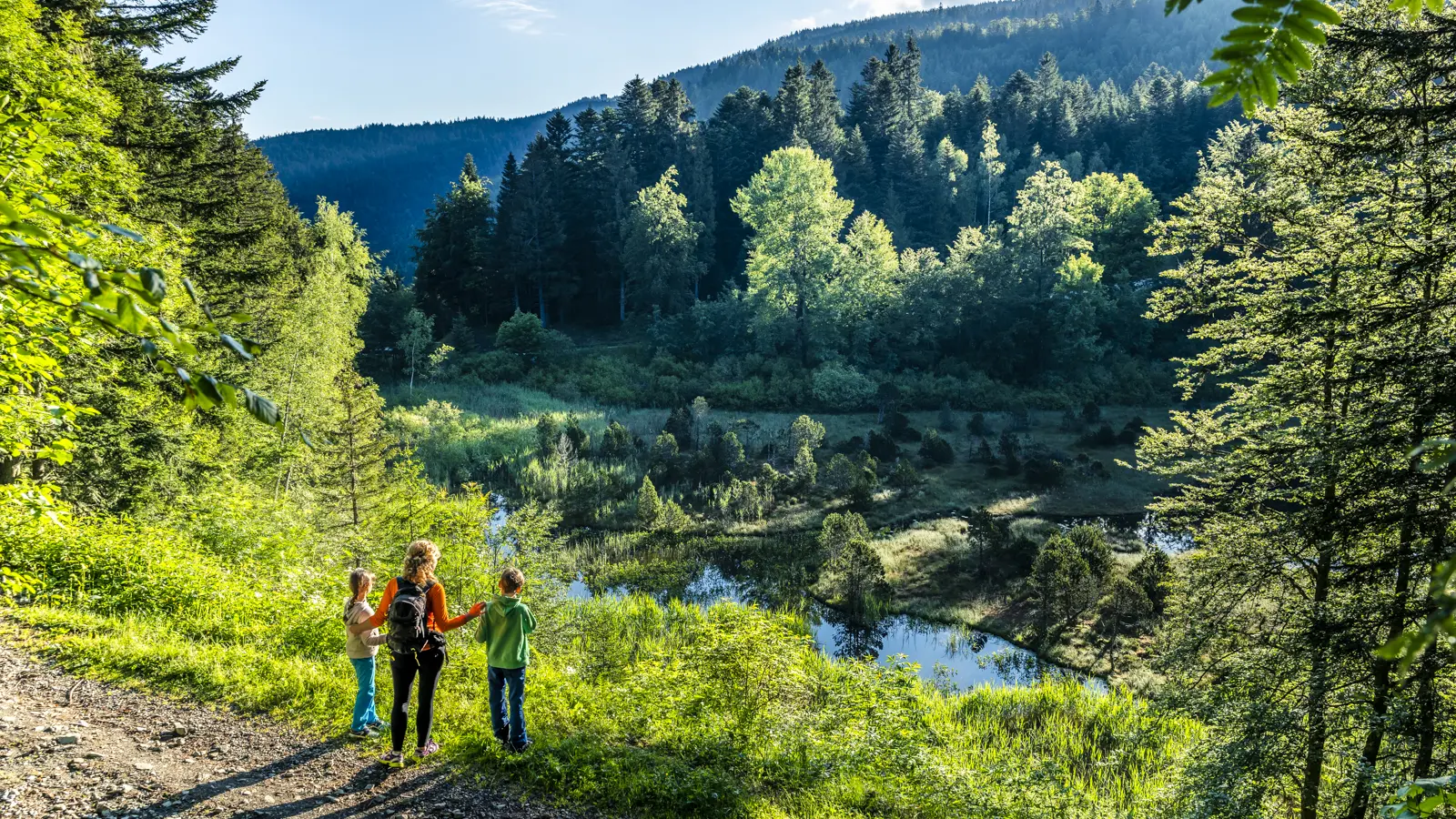 Réserve Naturelle du Luitel