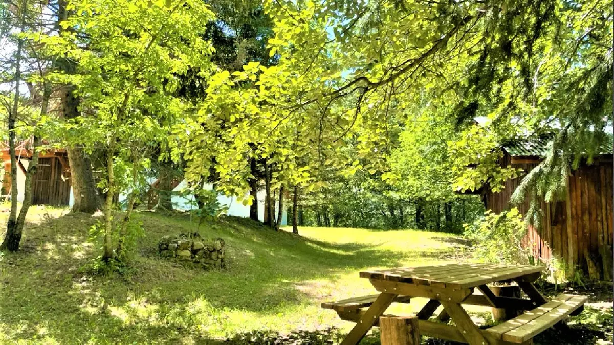 Jardin ensoleillé avec table en bois, cabane et arbres