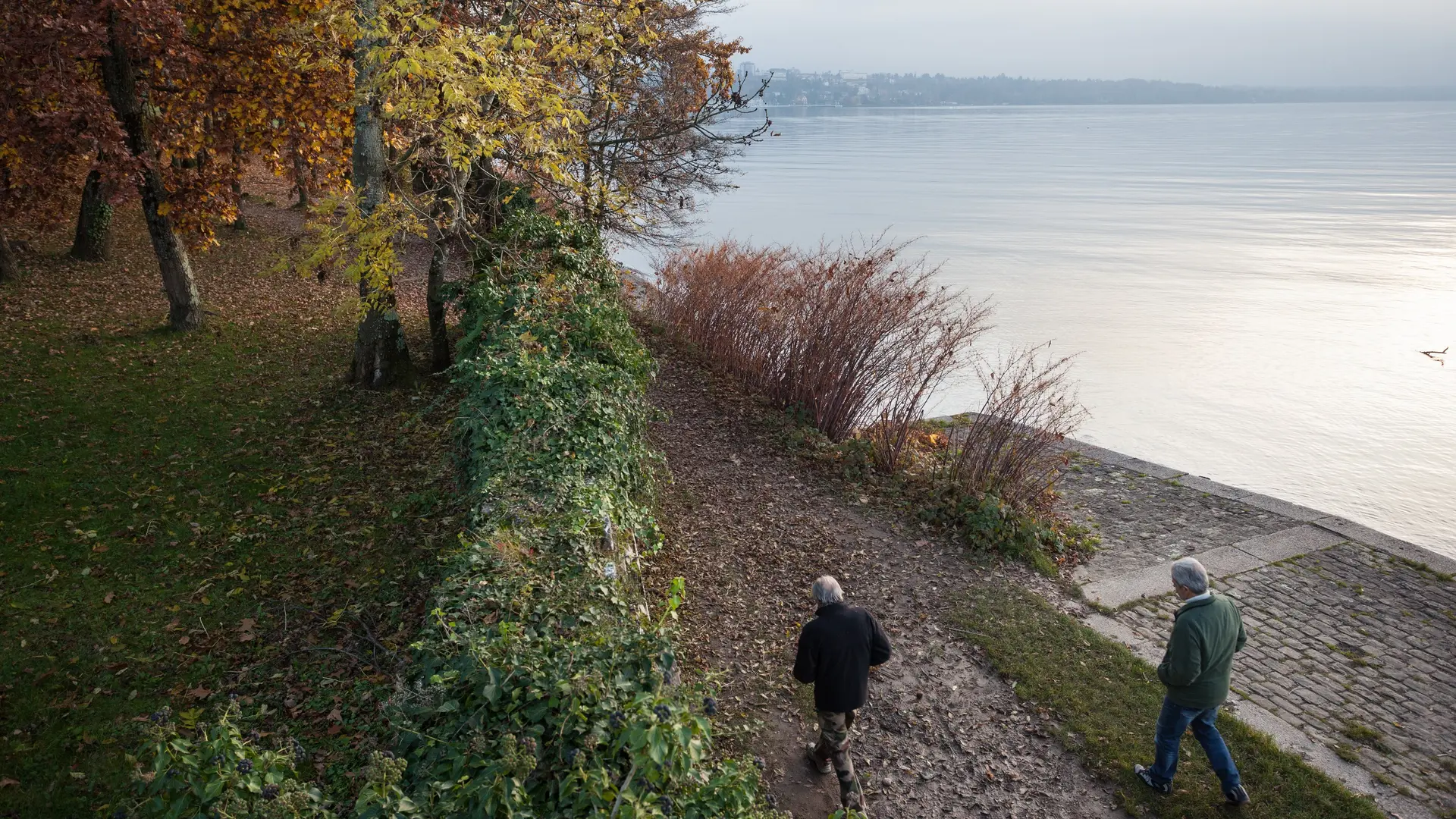 Sentier de la Pinede