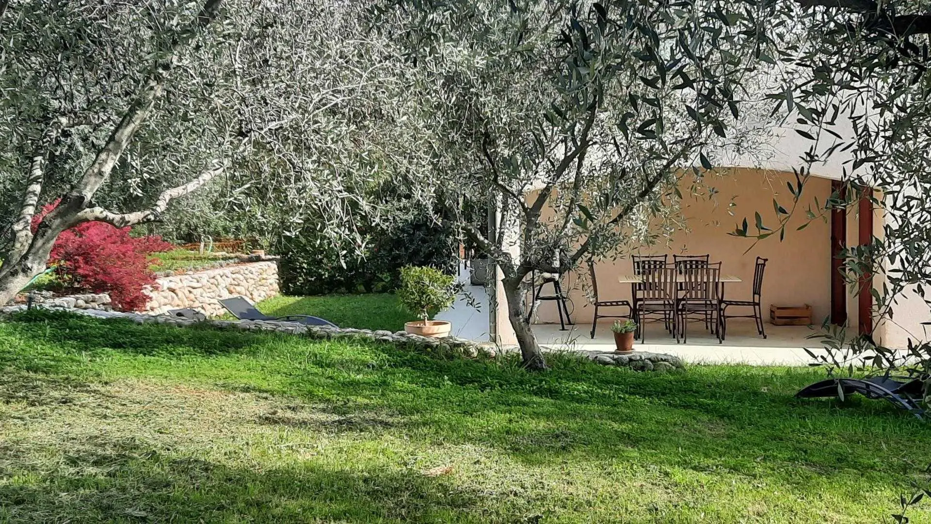 Extérieurs Gîte de la Colline - Olivier labellisé Gîtes de France Alpes-Maritimes à St Blaise