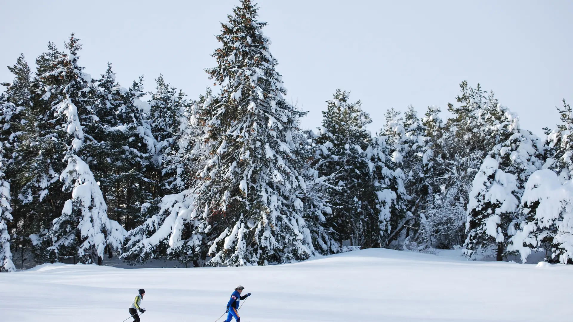 Ski de fond