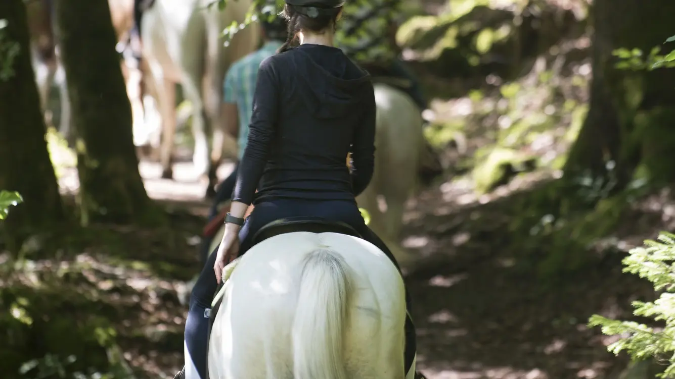 Horse riding