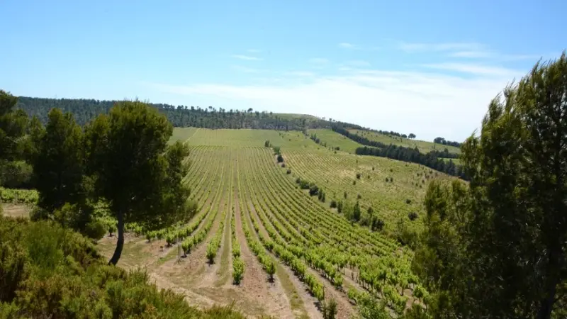 Château Beauferan - (c) Château Virant)