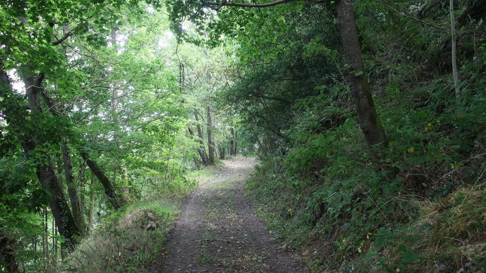 promenade dans la propriété