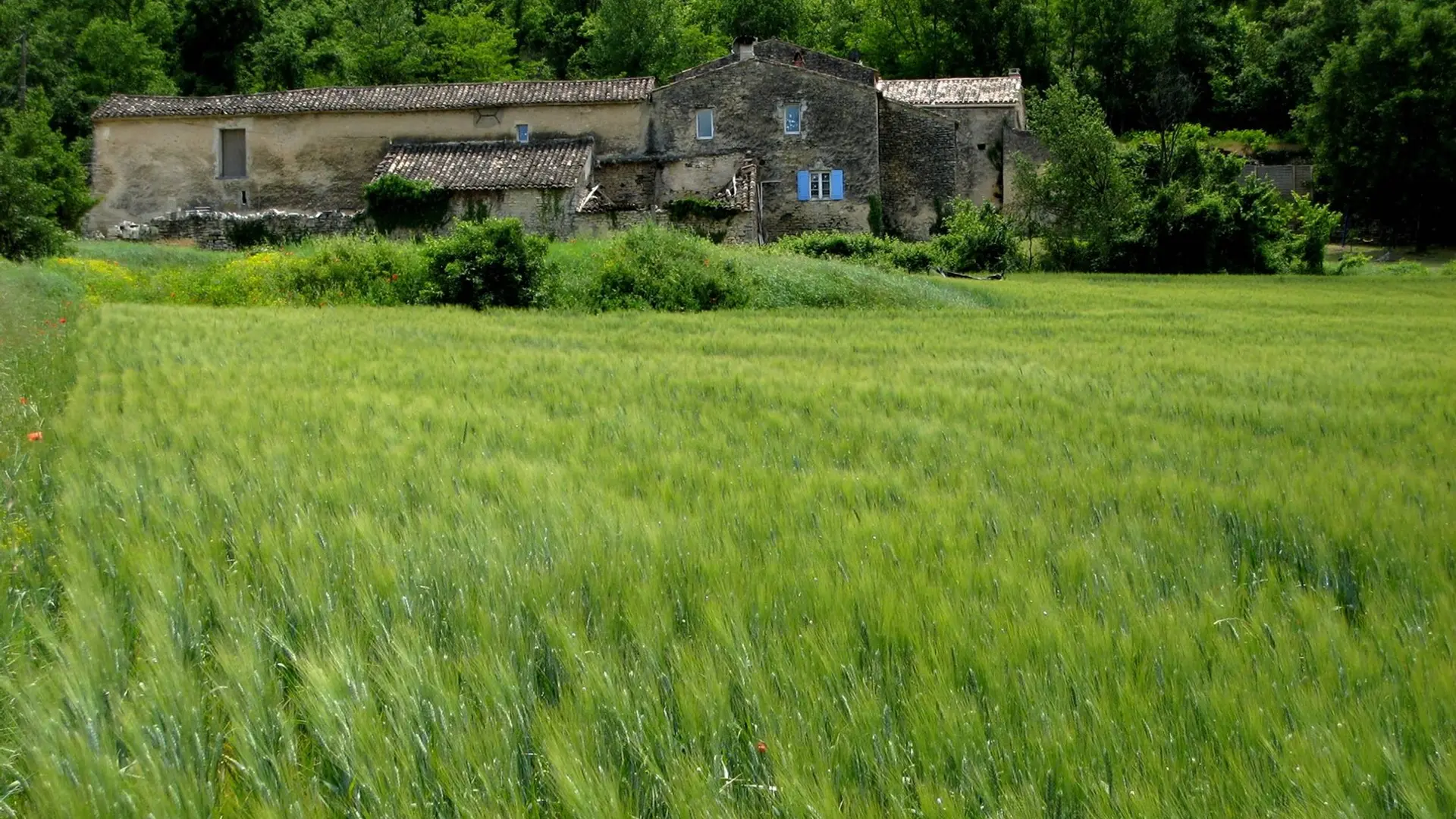 Mas de Marican (privé - ne se visite pas)